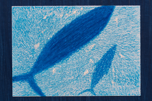 Child's Drawing -mother whale and baby whale