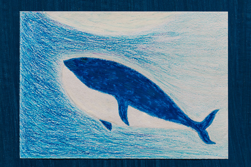 Child's Drawing -whale