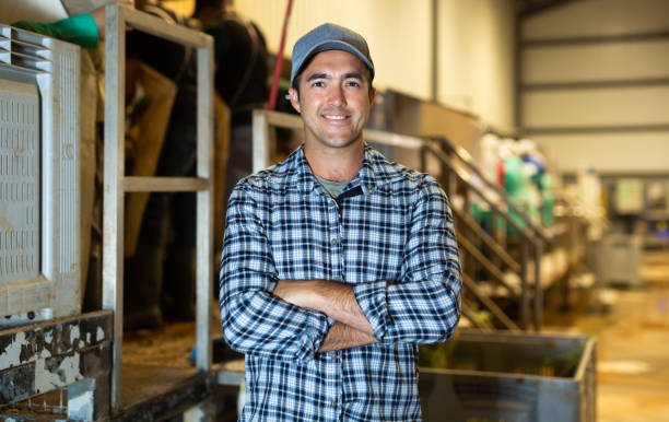 istock Smiling farmer standing with crossed arms at vegetable sorting factory 1408319569