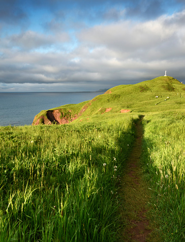 Footpath on grassy hill of Magdalen Islands at sunset, Les Demoiselles, Québec
