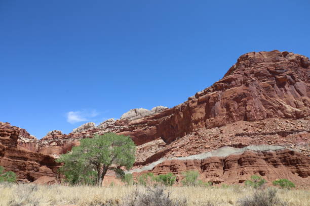 istock Capitol Reef national park Utah 1408326329