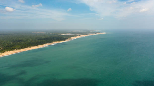 istock Seascape with tropical sandy beach and blue ocean. Sri Lanka. 1408327521