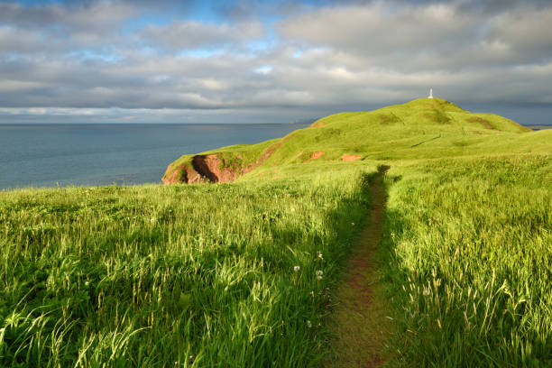 istock Grassy hill of Magdalen Islands 1408328517