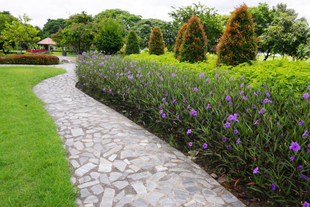 정원에 풀과 꽃이있는 돌 산책로. 나무 배열, 정원 지역의 조경 - 정원 길 뉴스 사진 이미지