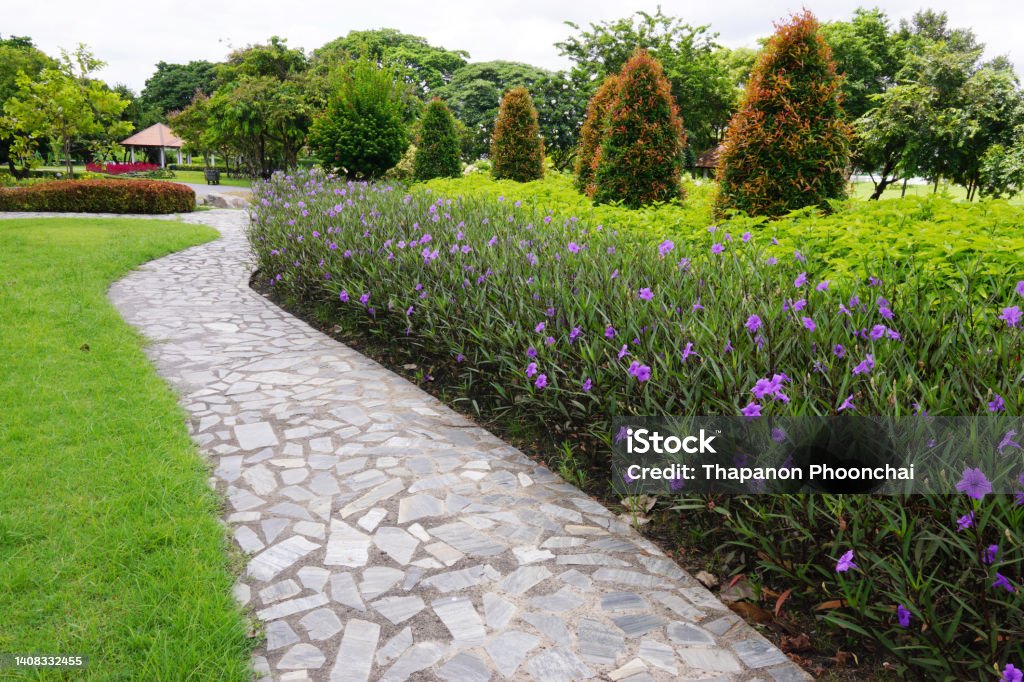 Stone walkway with grass and flower in garden. tree arrangement ,Landscaping in the garden area Garden Path Stock Photo