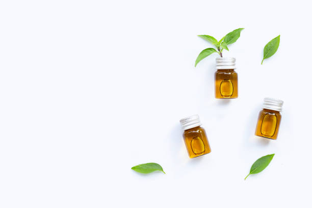 istock Essential oil bottles with fresh sweet basil leaves 1408334526