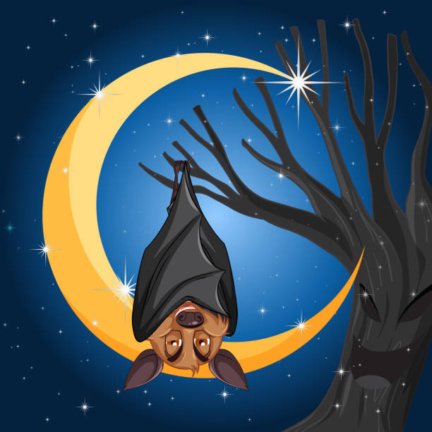 ilustraciones, imágenes clip art, dibujos animados e iconos de stock de murciélago de dibujos animados con fondo de luna creciente - bat moon outdoors nature