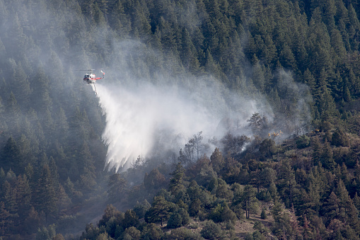 Flying low over a large group of firefighters in yellow, a fire fighting helicopter drops water on the Snowcreek fire near Highway 285 on July 12, 2022 in a pine forest in the Rocky Mountain foothills of Morrison, Colorado.