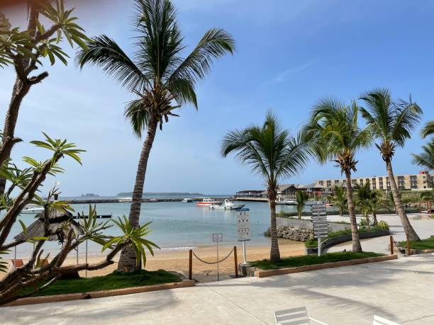 Palm trees and ocean View from the restaurant at TerrouBi senegal beach stock pictures, royalty-free photos & images