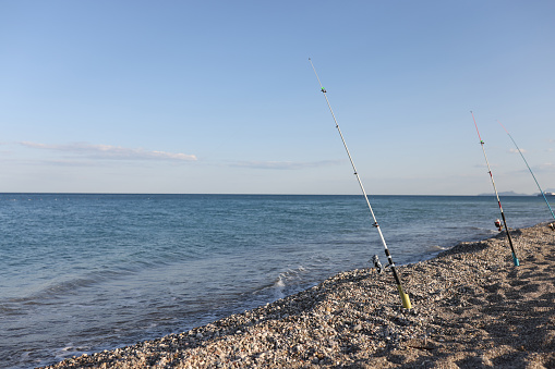 Close-up of fishing rods on sea beach, seaside landscape. Fish, fishery and fish-rod concept