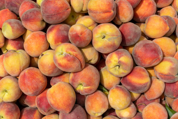 istock fresh organic peaches harvested and display for sale 1408352038