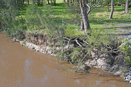 Exposed tree roots and erosion on the bank of a river