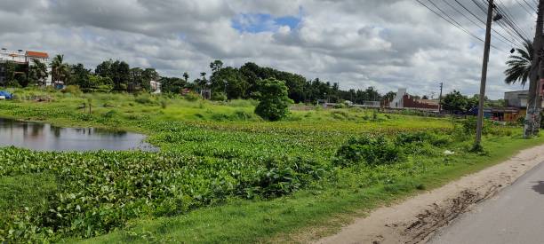 istock Beautiful village scenery  blue sky pond and road 1408360910