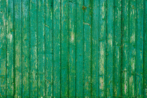 green wooden background with old painted planks vertical boards