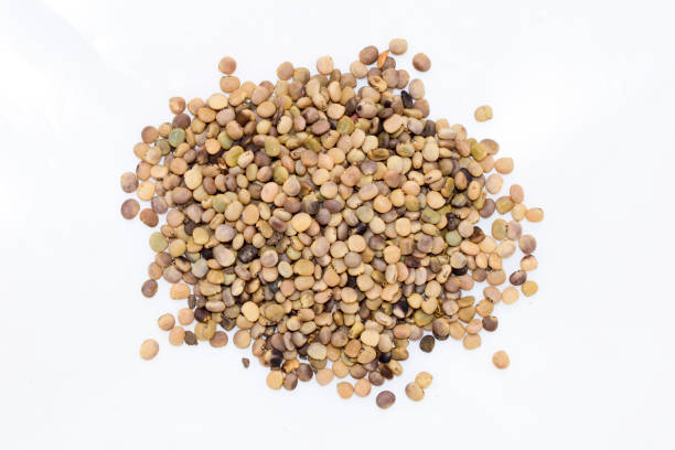 istock The guar or cluster bean seeds 1408363027