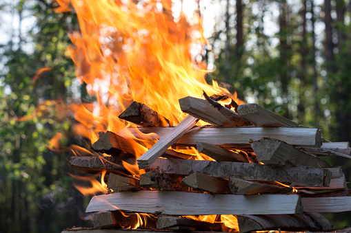 Burning wood, stacked in a pyramid, against the background of the forest.