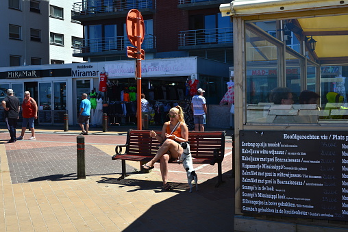 Blankenberge, West-Flanders Belgium - July 10, 2022: so cute little dog standing on 2 feet looking to his master, blond hair woman sitting on a garden bench hoping on last piece of cookie ice cream