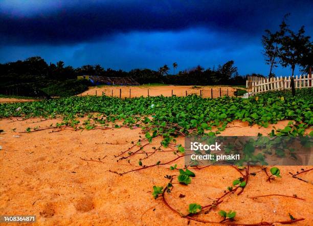 Candolim Beach In North Goa With Overcast Sky During Monsoon Season Stock Photo - Download Image Now