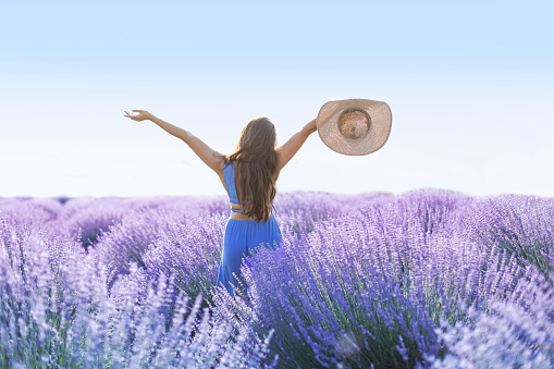 Young woman in summer dress and sun hat through feels happy in lavender field, rear view