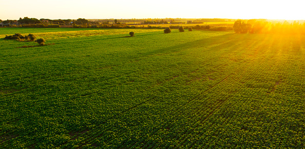 Aerial view of cultivated fields in Chianti region, Tuscany, Italy.