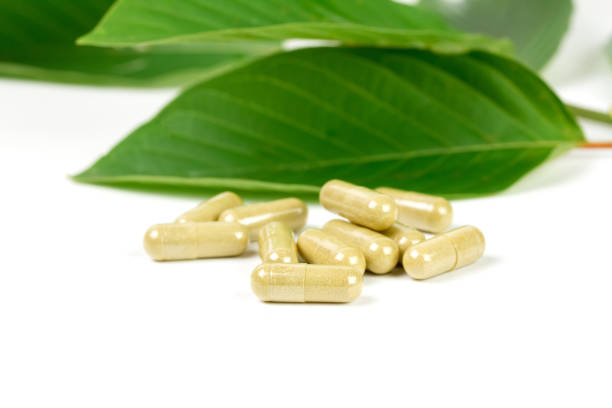 istock Mitragyna Speciosa Korth or kratom capsules . 1408369987