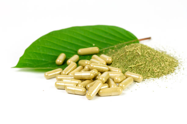 istock Mitragyna Speciosa Korth or kratom powder. 1408369991