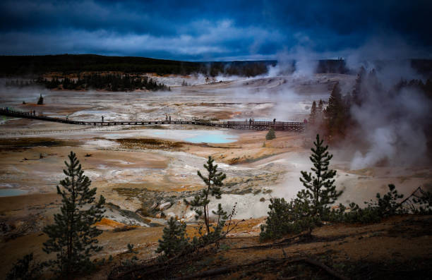 istock Norris Geyser field in Yellowstone 1408370159