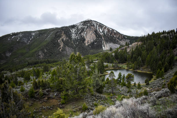 istock Mountain landscape in Yellowstone 1408370472