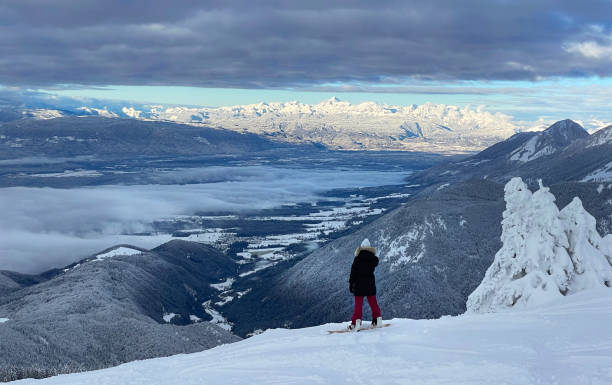 Young snowboarder stands atop a mountain and observes the breathtaking landscape Young female snowboarder stands atop a mountain and observes the breathtaking winter colored landscape. Spectacular shot of woman on snowboarding trip resting and taking in sights of untouched nature. krvavec stock pictures, royalty-free photos & images