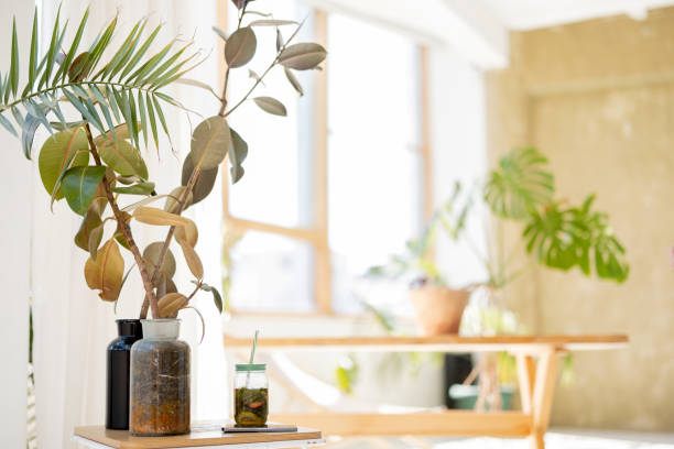 istock Vase with dried flowers in sunny room 1408371905