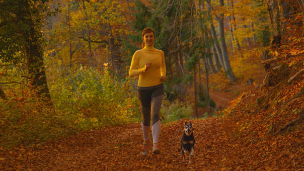 istock PORTRAIT: Jogger goes for a trail run with her pinscher on sunny fall evening. 1408372611
