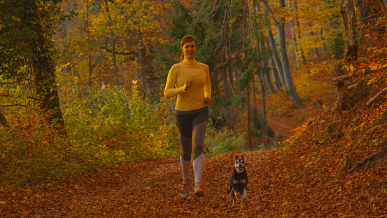 PORTRAIT: Female jogger goes for a trail run with her miniature pinscher on sunny fall evening. Cinematic shot of a fit Caucasian woman and her dog running together through autumn colored forest.