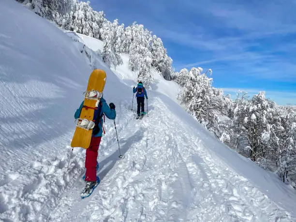 Two unrecognizable splitboarders trek up a hiking trail before riding off piste in the picturesque Julian Alps. Two active female tourists ski tour in the mountains of Slovenia on a sunny winter day.