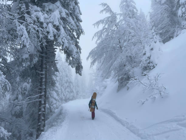 istock Female snowboarder hikes along an empty trail leading through misty forest. 1408373066