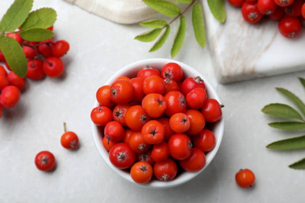 istock Fresh ripe rowan berries and leaves on light table, flat lay 1408374176
