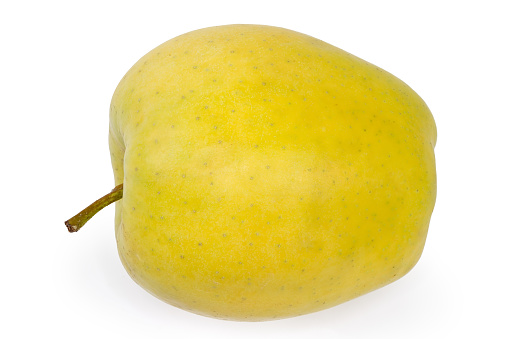 One whole ripe green-yellow apple lying on side on a white background, view from the low point