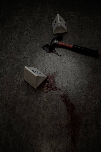 the blood of the victim's hammer is the murderer's weapon.crime scene investigation with copy space. - crime scene chalk outline crime murder imagens e fotografias de stock