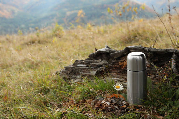 istock Silver thermos and chamomile flower on green grass outdoors, space for text 1408374747