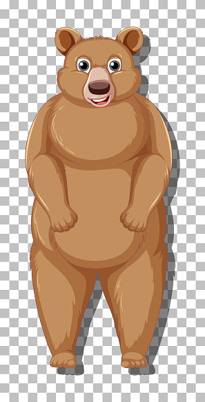 Grizzly bear cartoon character isolated illustration