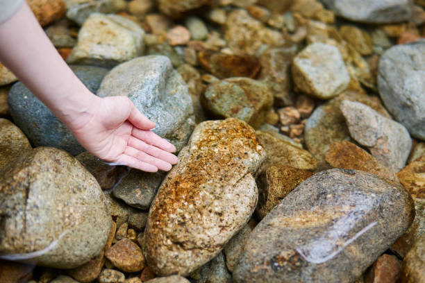 Human hands photo theme.