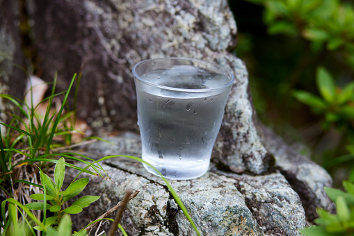 Glass with water placed in nature