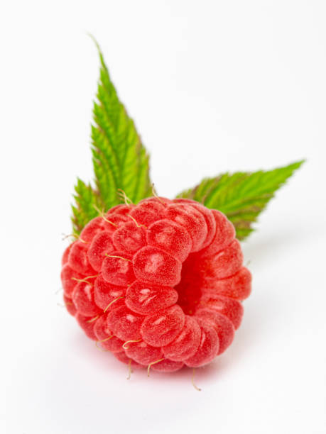 istock one berry Ripe raspberry with leaves isolated on white background 1408378954
