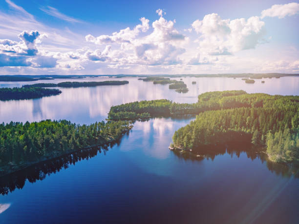 aerial view of blue lakes and green woods in summer finland. - blue fin imagens e fotografias de stock