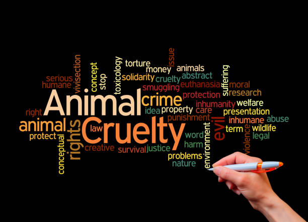 istock ANIMAL CRUELTY concept, isolated on a black background 1408381391