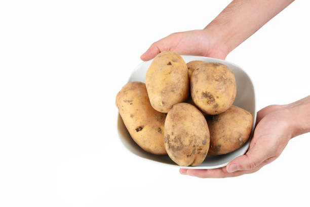 Hand holding fresh organic potatoes bowl isolated on the white background with clipping path