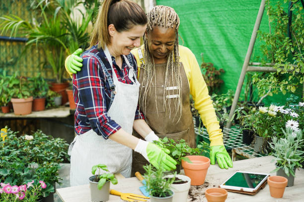 istock Women working inside greenhouse garden - Nursery and spring concept 1408388965