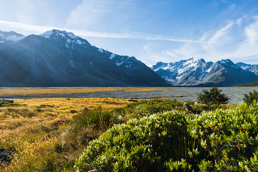 Milford Sound, South Island, New Zealand