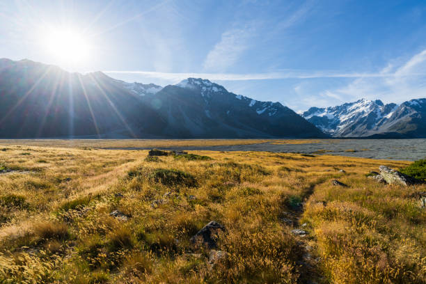 istock Beautiful view of sunny Godley braided river. 1408389530
