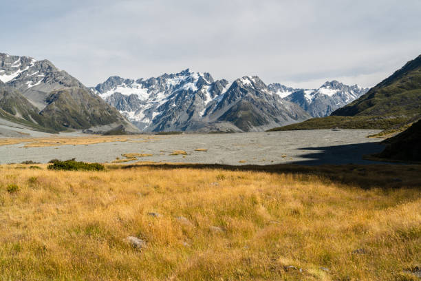 Beautiful view of  Godley braided river in Southern Alps in New Zealand