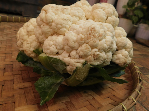 freshly harvested cauliflower in large size